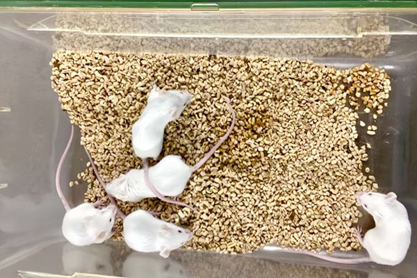 =2_副本_副本.jpg =2_副本_副本.jpg